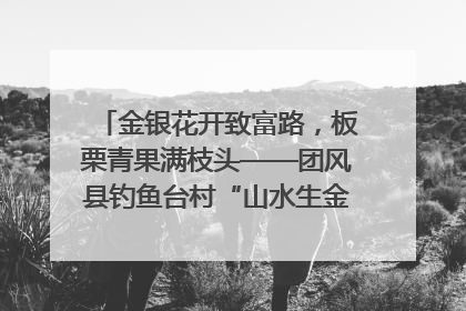 金银花开致富路，板栗青果满枝头——团风县钓鱼台村“山水生金”谱写共富新篇章