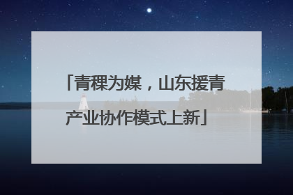 青稞为媒，山东援青产业协作模式上新