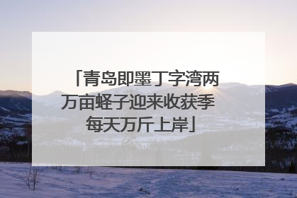 青岛即墨丁字湾两万亩蛏子迎来收获季 每天万斤上岸