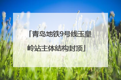 青岛地铁9号线玉皇岭站主体结构封顶