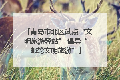 青岛市北区试点“文明旅游驿站” 倡导“邮轮文明旅游”