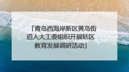 青岛西海岸新区黄岛街道人大工委组织开展辖区教育发展调研活动