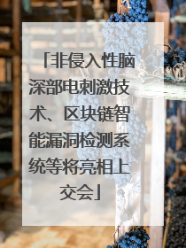 非侵入性脑深部电刺激技术、区块链智能漏洞检测系统等将亮相上交会