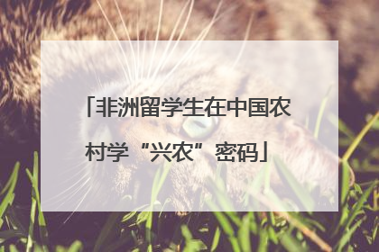 非洲留学生在中国农村学“兴农”密码