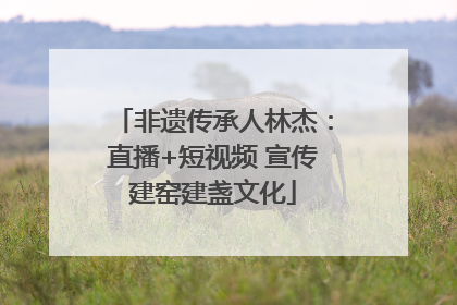 非遗传承人林杰：直播+短视频 宣传建窑建盏文化