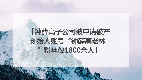钟薛高子公司被申请破产 创始人账号“钟薛高老林”粉丝仅1800余人