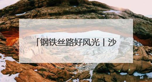 钢铁丝路好风光丨沙良物流园助力中欧班列跑出“加速度”