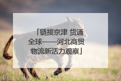 链接京津 货通全球——河北商贸物流新活力观察