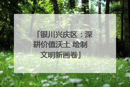 银川兴庆区：深耕价值沃土 绘制文明新画卷