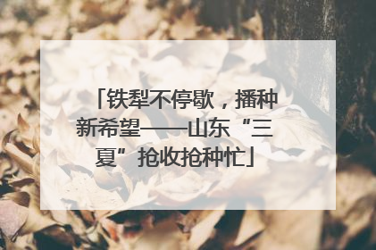 铁犁不停歇，播种新希望——山东“三夏”抢收抢种忙