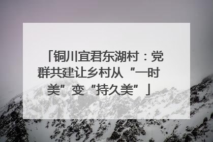 铜川宜君东湖村：党群共建让乡村从“一时美”变“持久美”