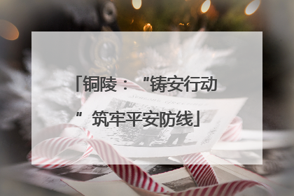 铜陵：“铸安行动”筑牢平安防线