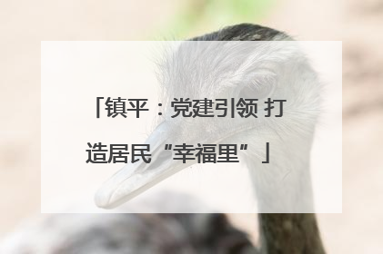 镇平：党建引领 打造居民“幸福里”