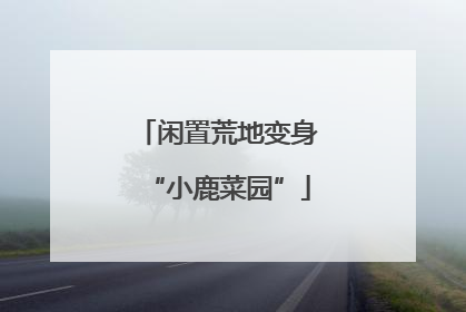 闲置荒地变身“小鹿菜园”