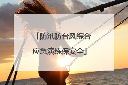 防汛防台风综合应急演练保安全