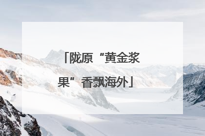 陇原“黄金浆果”香飘海外