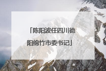 陈阳波任四川德阳绵竹市委书记