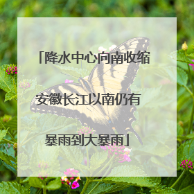 降水中心向南收缩 安徽长江以南仍有暴雨到大暴雨