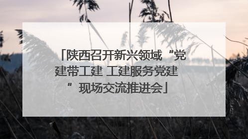陕西召开新兴领域“党建带工建 工建服务党建”现场交流推进会