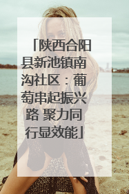 陕西合阳县新池镇南沟社区：葡萄串起振兴路 聚力同行显效能