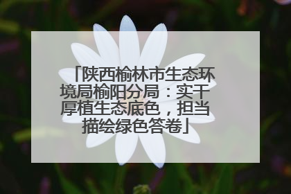 陕西榆林市生态环境局榆阳分局：实干厚植生态底色，担当描绘绿色答卷