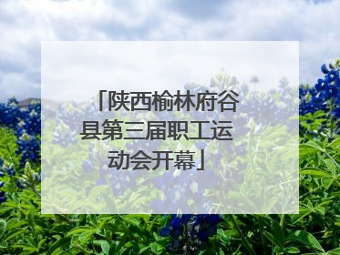 陕西榆林府谷县第三届职工运动会开幕