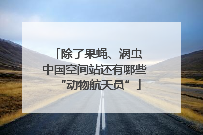 除了果蝇、涡虫 中国空间站还有哪些“动物航天员”