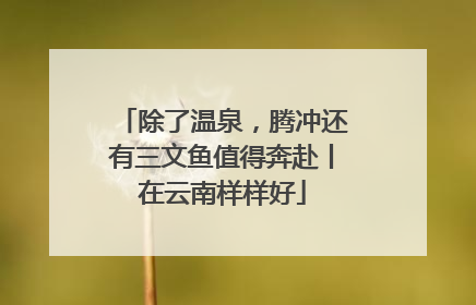 除了温泉，腾冲还有三文鱼值得奔赴丨在云南样样好