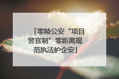 零陵公安“项目警官制”零距离规范执法护企安