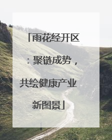 雨花经开区：聚链成势，共绘健康产业新图景
