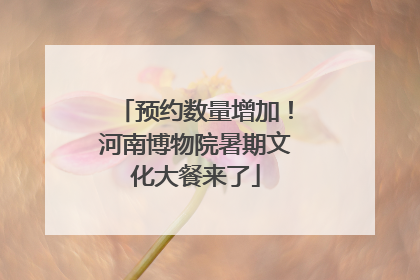 预约数量增加！河南博物院暑期文化大餐来了