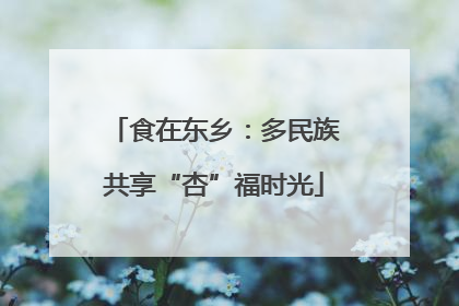 食在东乡：多民族共享“杏”福时光