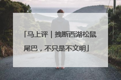 马上评｜拽断西湖松鼠尾巴，不只是不文明