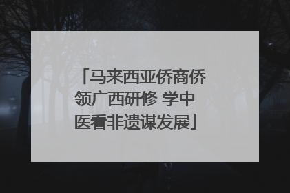 马来西亚侨商侨领广西研修 学中医看非遗谋发展