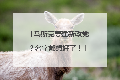 马斯克要建新政党？名字都想好了！