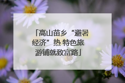 高山苗乡“避暑经济”热 特色旅游铺就致富路