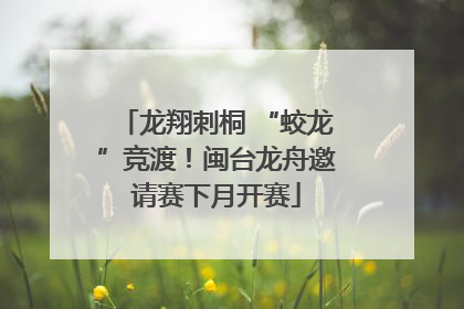 龙翔刺桐 “蛟龙”竞渡！闽台龙舟邀请赛下月开赛