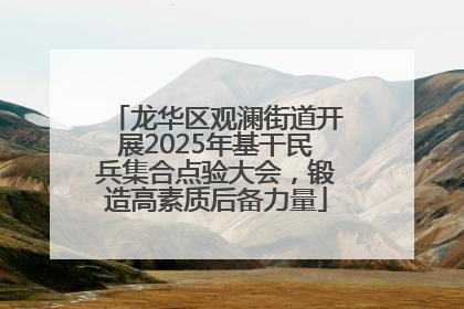 龙华区观澜街道开展2025年基干民兵集合点验大会，锻造高素质后备力量