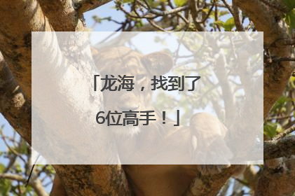 龙海，找到了6位高手！