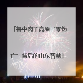 鲁中肉羊高原“零伤亡”背后的山东智慧