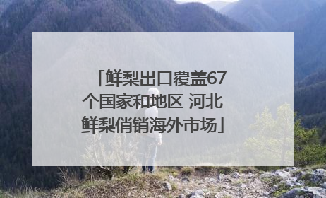 鲜梨出口覆盖67个国家和地区 河北鲜梨俏销海外市场