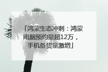 鸿蒙生态冲刺：鸿蒙电脑预约量超12万，手机备货量激增