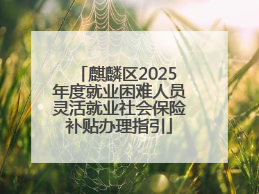 麒麟区2025年度就业困难人员灵活就业社会保险补贴办理指引