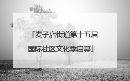 麦子店街道第十五届国际社区文化季启幕