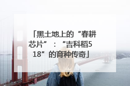 黑土地上的“春耕芯片”：“吉科稻518”的育种传奇