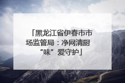 黑龙江省伊春市市场监管局：净网清厨 “味”爱守护