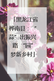 黑龙江省桦南县：“蒜”出振兴路 “园”梦新乡村