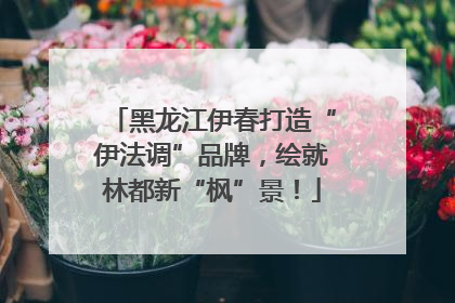 黑龙江伊春打造“伊法调”品牌，绘就林都新“枫”景！