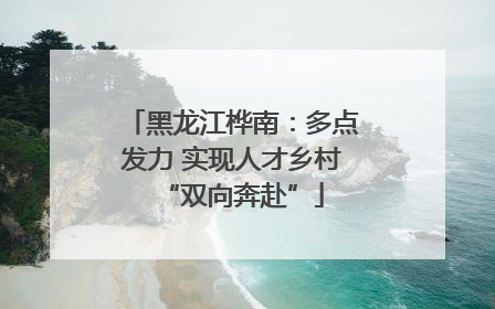 黑龙江桦南：多点发力 实现人才乡村“双向奔赴”