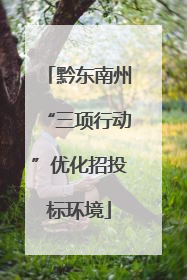 黔东南州“三项行动”优化招投标环境